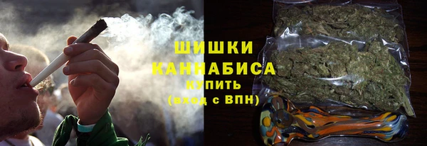 молекула духа Осташков