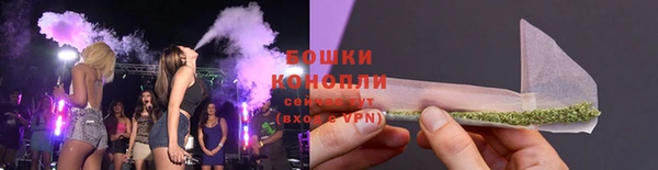 шишки Горнозаводск