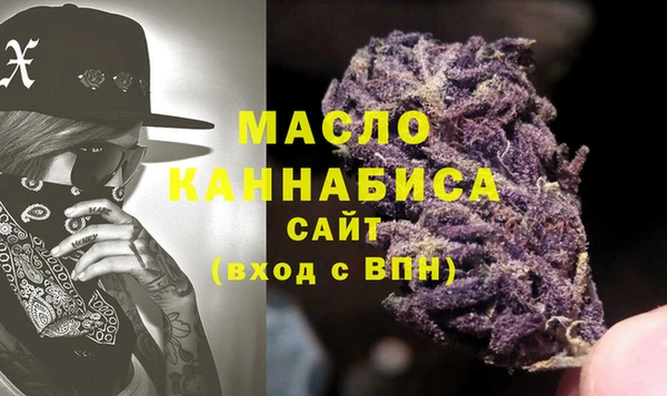 молекула духа Осташков