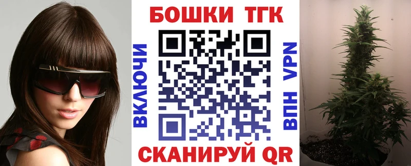 Бошки Шишки план Инта